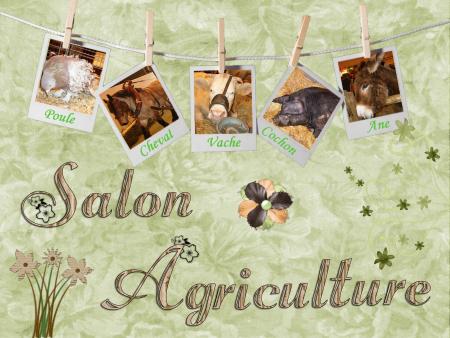 Salon de l'agriculture